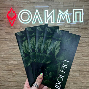 Наше портфолио - Евробуклеты для IDOL FACE